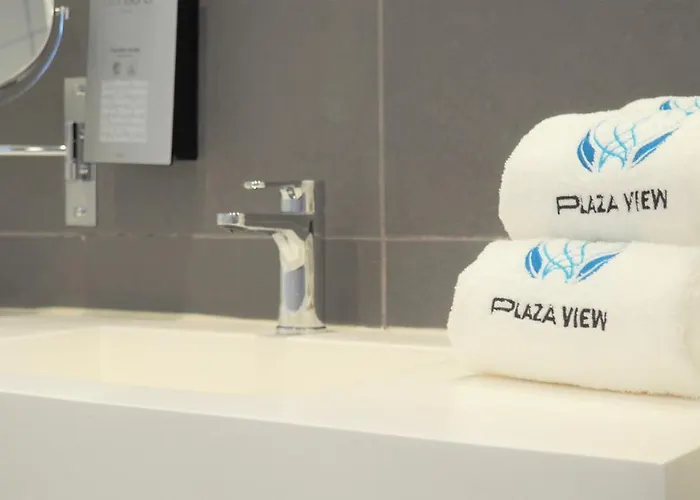 Hotel Plaza View 3*